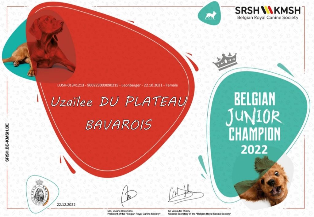 Du Haie Des Saules - Uzaïlee jeune Championne de Belgique 