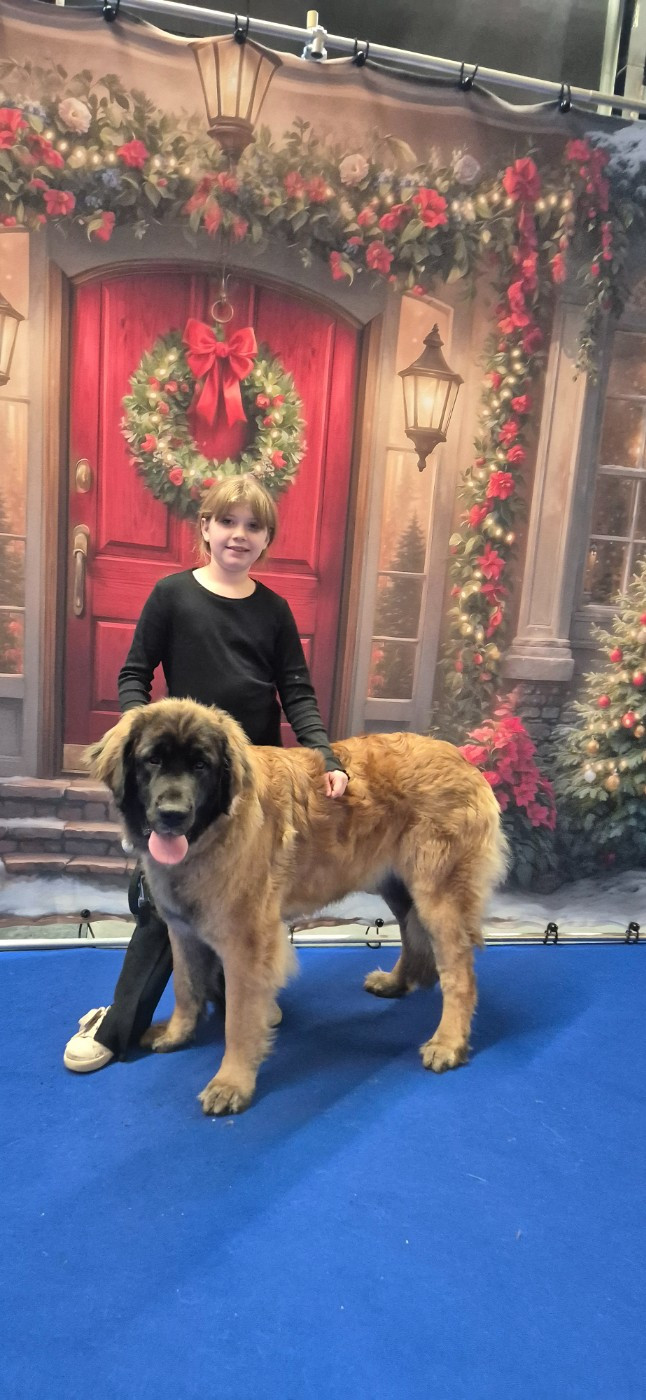 CH. X'hera Du Haie Des Saules